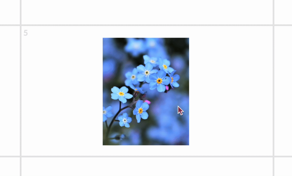 Resize.gif